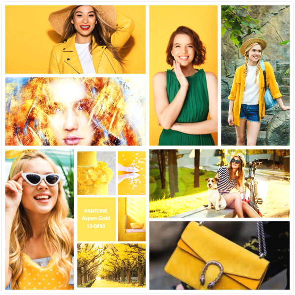 2019流行色之---山楊黃