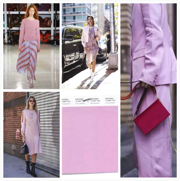 浪漫與夢(mèng)幻的粉紫薰衣草